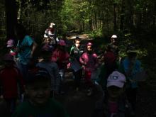 5- latki szukały wiosny w lesie Kumiecie.