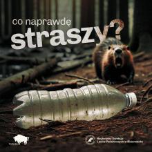 CO NAPRAWDĘ STRASZY ?