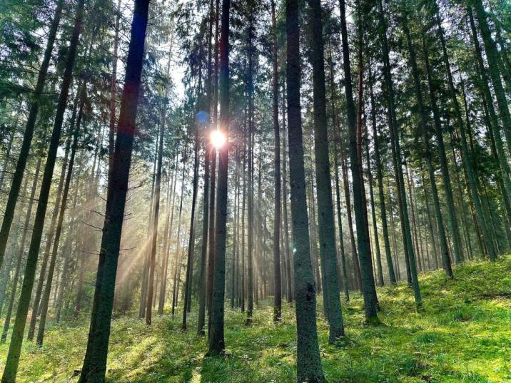 fot. Adrian Borowski